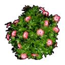 Faux Flowering Bush A