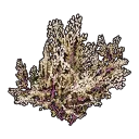 Faux Golden Bush