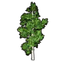 Faux Greenery A