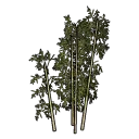 Faux Bamboo B