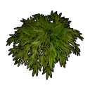 Faux Bamboo C