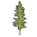 Faux Greenery C