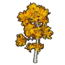 Faux Golden Foliage C
