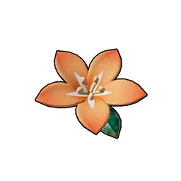 Lyleen Accessory