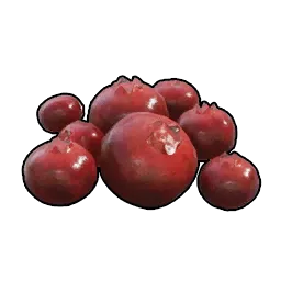 Red Berries