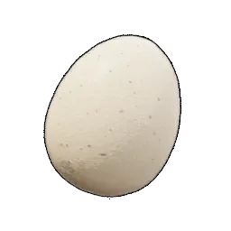 Egg