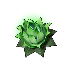 Life Lotus (S)