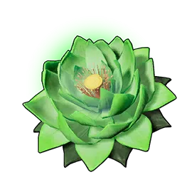 Life Lotus (L)