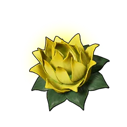 Stamina Lotus (S)