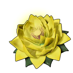 Stamina Lotus (L)