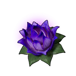 Carrying Lotus (S)