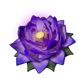 Carrying Lotus (L)