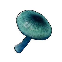 Mysterious Mushroom