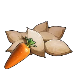 Carrot Seeds