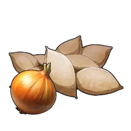 Onion Seeds