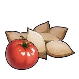 Tomato Seeds